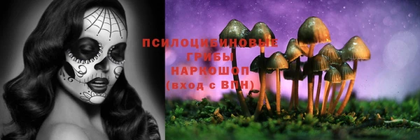 кокаин Алексин